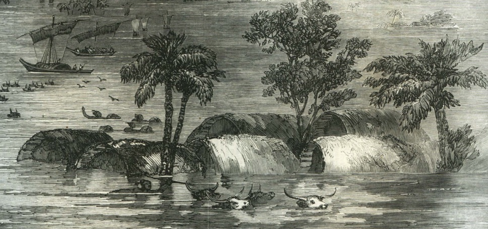 “Inundation in India”, Illustrated London News (1856). Credit: Public Domain.